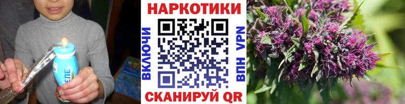 Названия наркотиков Красный Кут Псилоцибиновые грибы  Конопля  Меф мяу мяу  ГАШ 