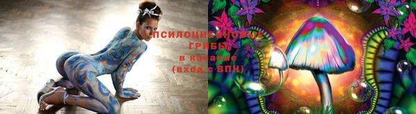 не бодяженный Каменка