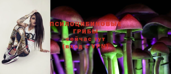 a pvp Карталы