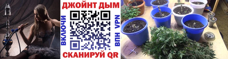 Бошки Шишки VHQ Красный Кут